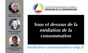 Ecran Médiation de la consommation vidéo 2021