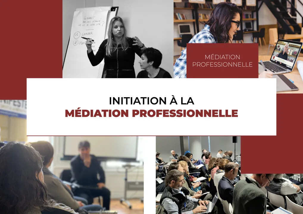 Initiation à la Médiation Professionnelle